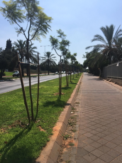 שכונת הדרים