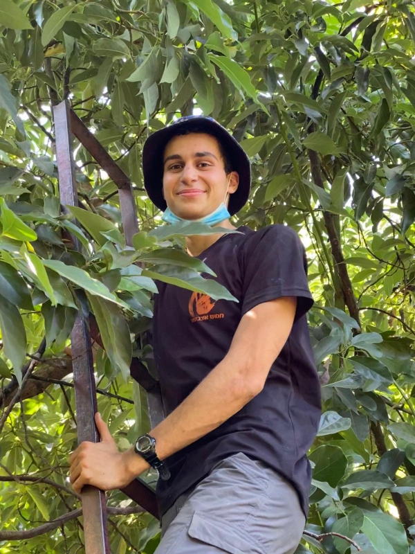 יובל פייביש