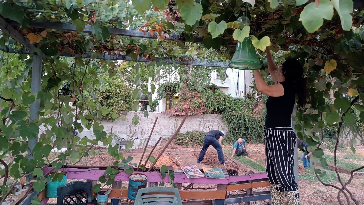 סוכת הגפנים וערוגות הירק קיימות בגינה הקהילתית הפרדס
