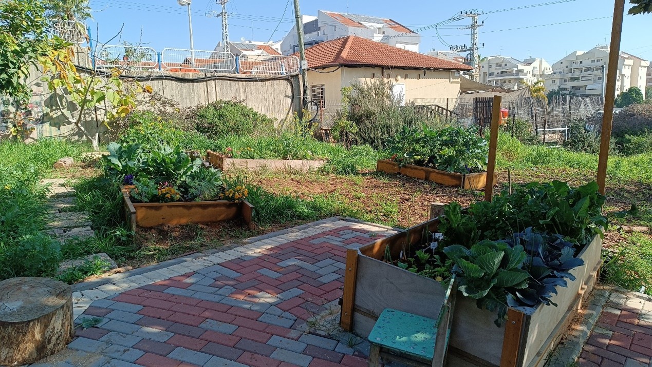גינה קהילתית הראשונים כפר סבא