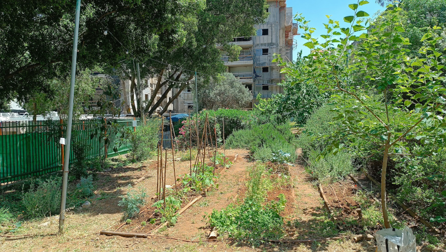 גינה קהילתית רופין