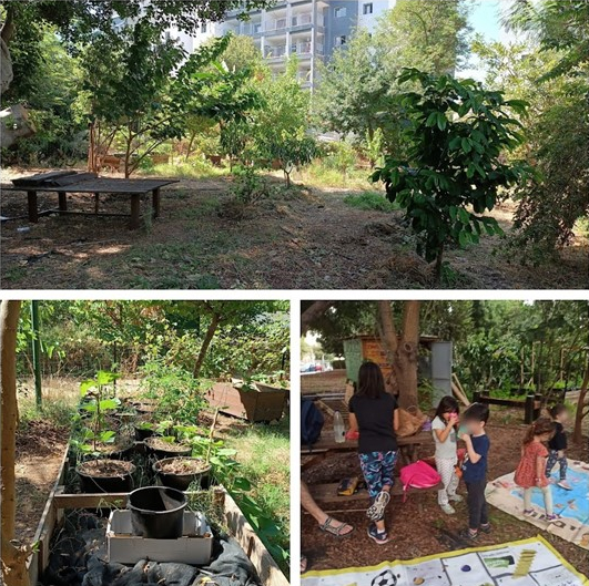 תמונות של גינה קהילתית הגליל בכפר סבא