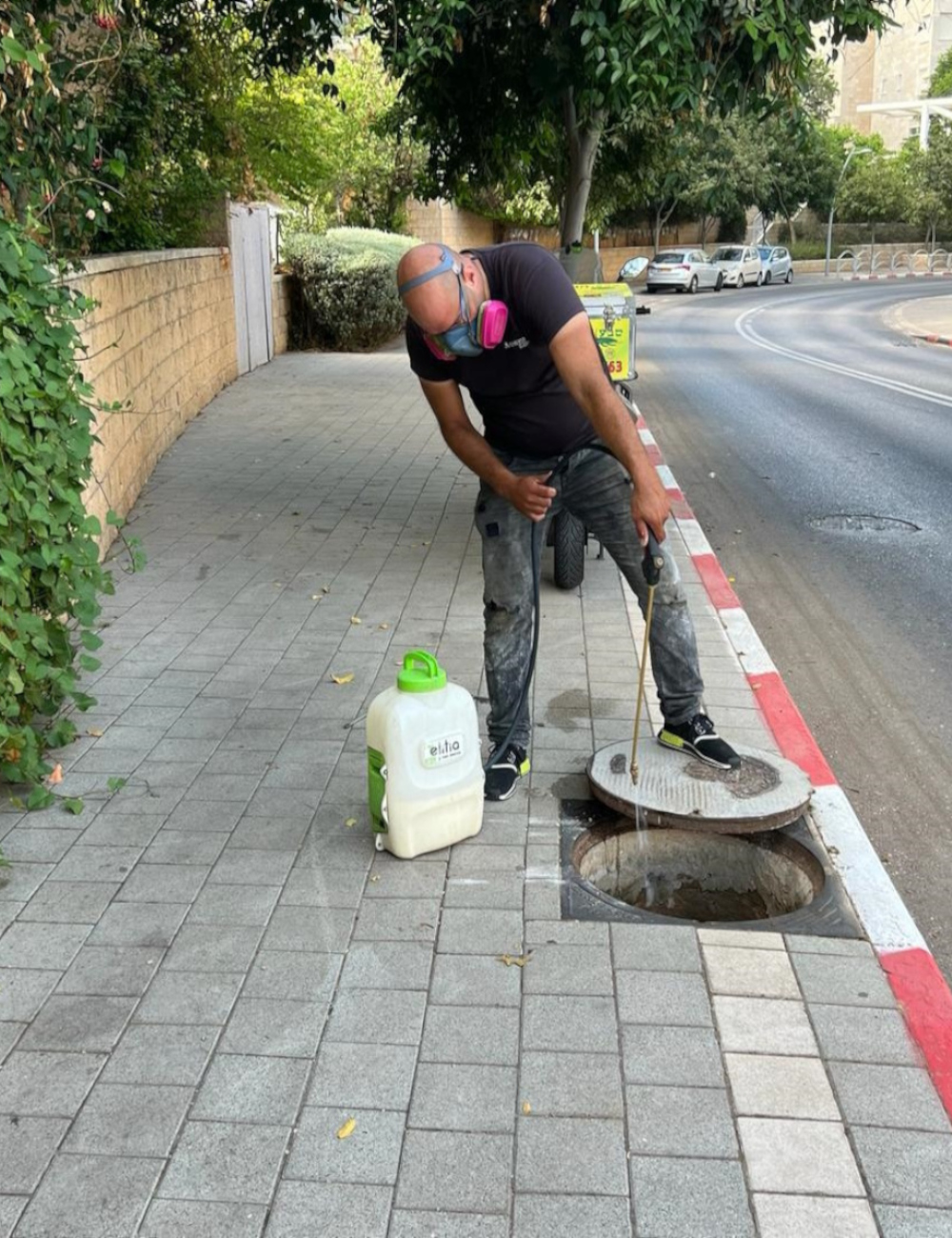 מבצע הדברה עירוני בשנה שעברה בעיר כפר סבא