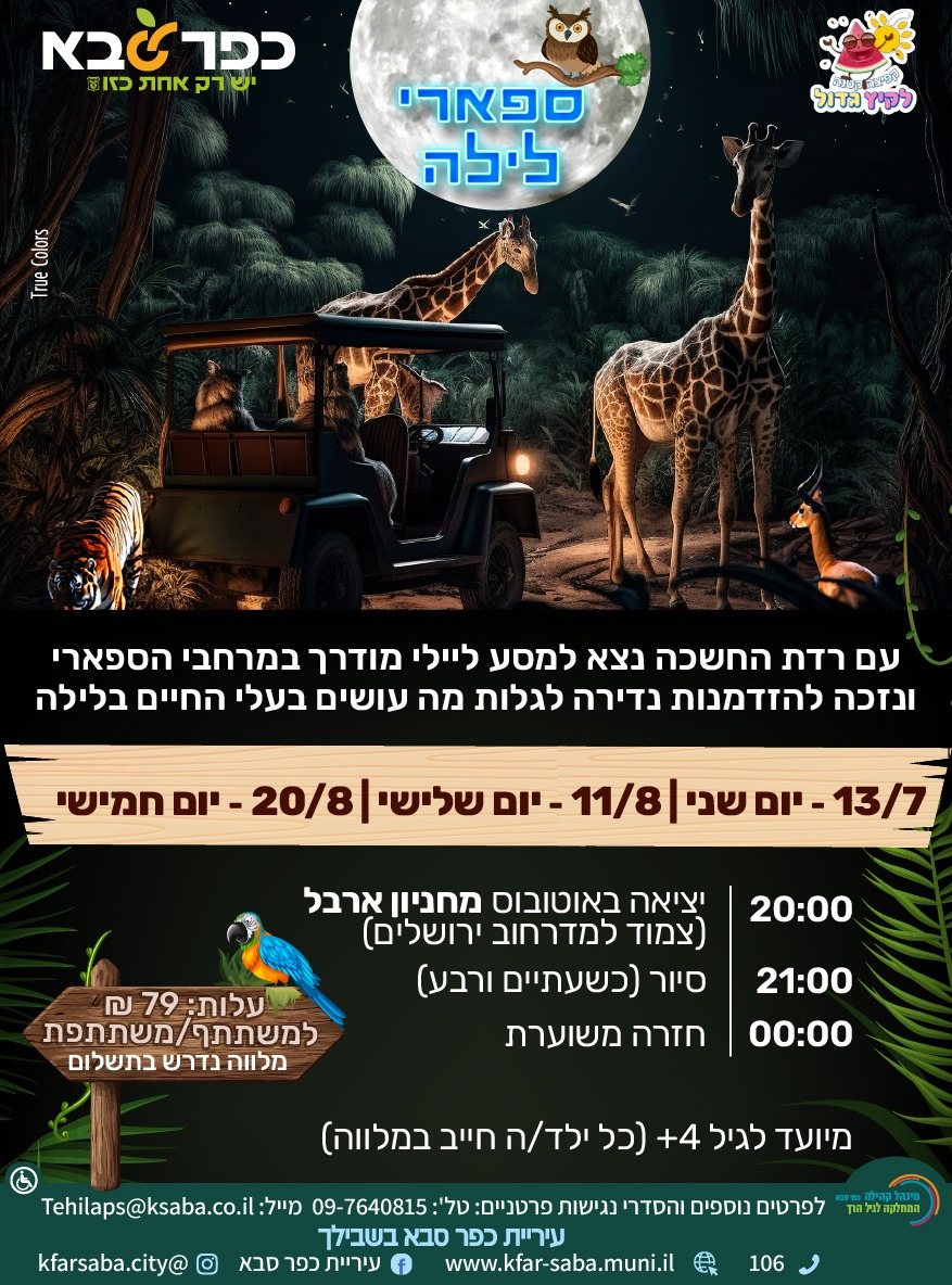 מודעה גרפית - ספארי לילה
