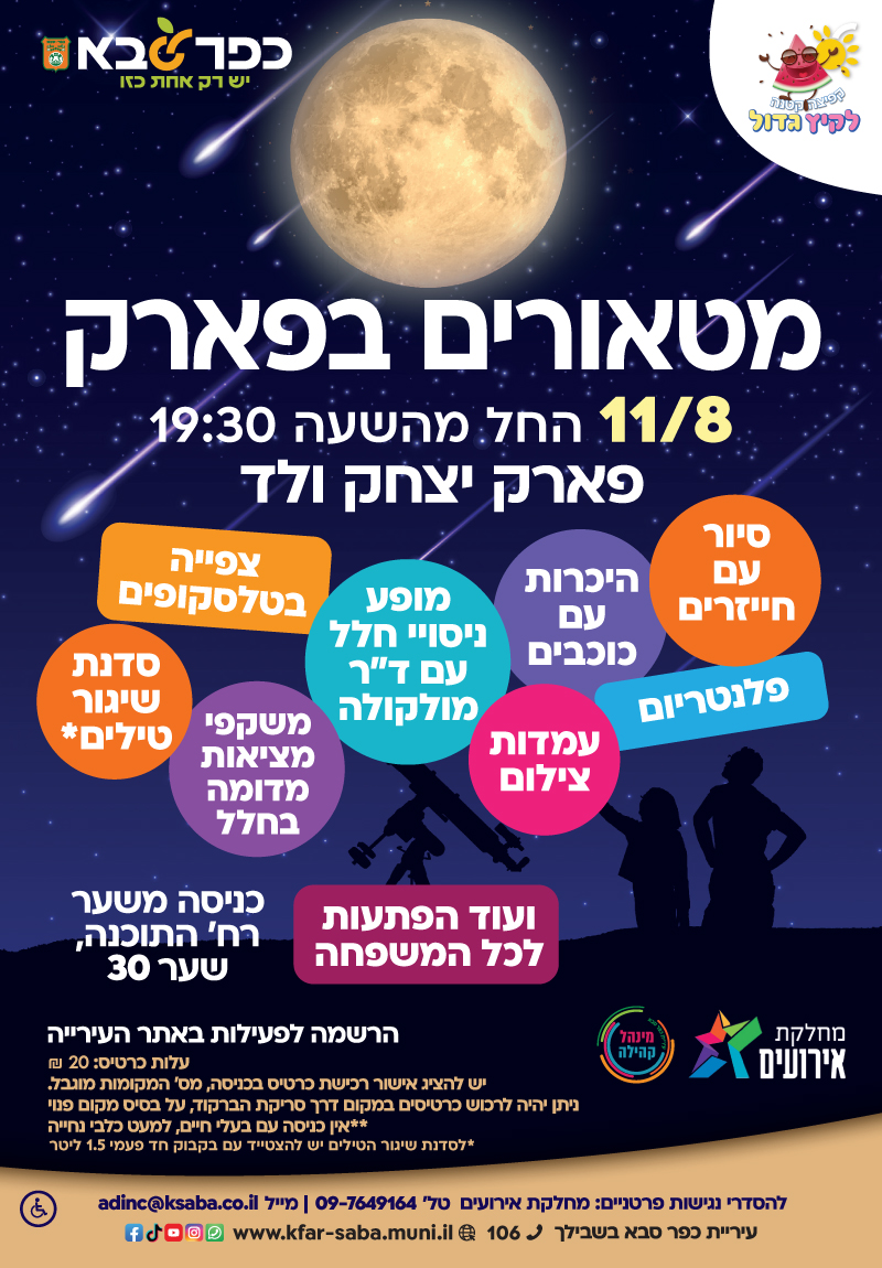 מודעה גרפית - ליל מטאורים בפארק