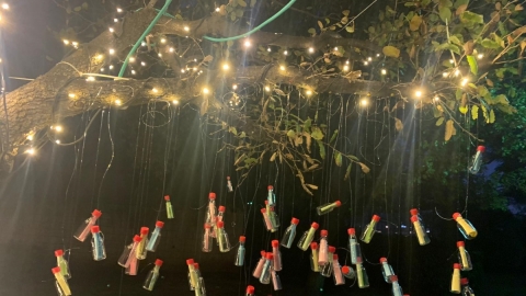 עץ המשאלות מואר ומקושט בכפר סבא