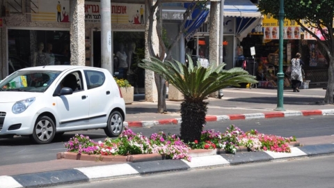 רחוב ויצמן בכפר סבא