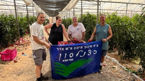צוות תיכון כצנלסון בכפר סבא מתנדב בחקלאות בעוטף
