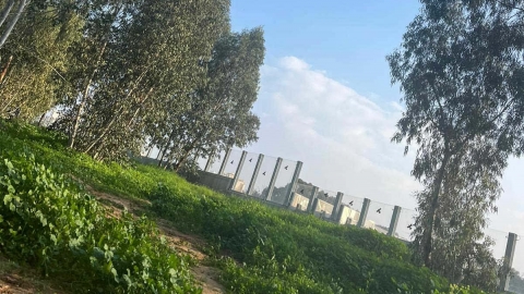 יער אוסישקין בעיר כפר סבא