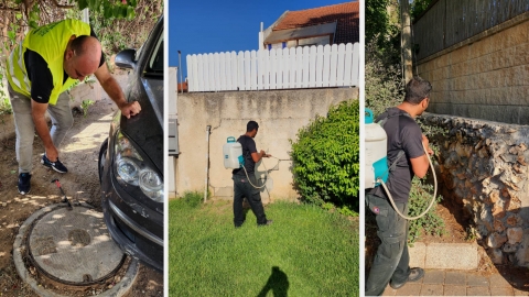 מבצע הדברה עירוני במרחב הציבורי ברחבי העיר כפר סבא