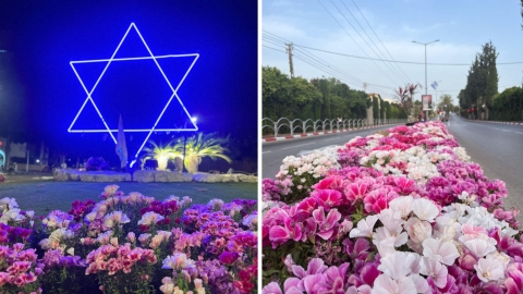 שתילת פרחים לקראת פסח ברחבי העיר כפר סבא 