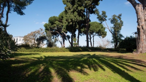 גן הברון מנשה