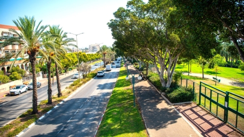 העיר כפר סבא
