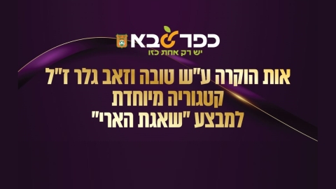 אות הוקרה על שם טובה וזאב גלר קטגוריה מיוחדת למבצע שאגת הארי