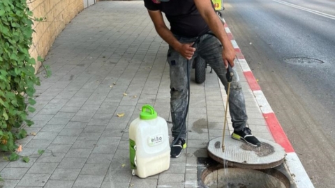 מבצע הדברה עירוני בשנה שעברה בעיר כפר סבא