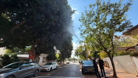 מבצע קיץ לטיפול בפירות עצי הפיקוס בעיר כפר סבא