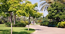 מתקן חדשני וידידותי לסביבה לטיפול בגזם יוקם בכפר סבא