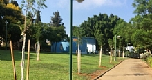 עצים בכפר סבא