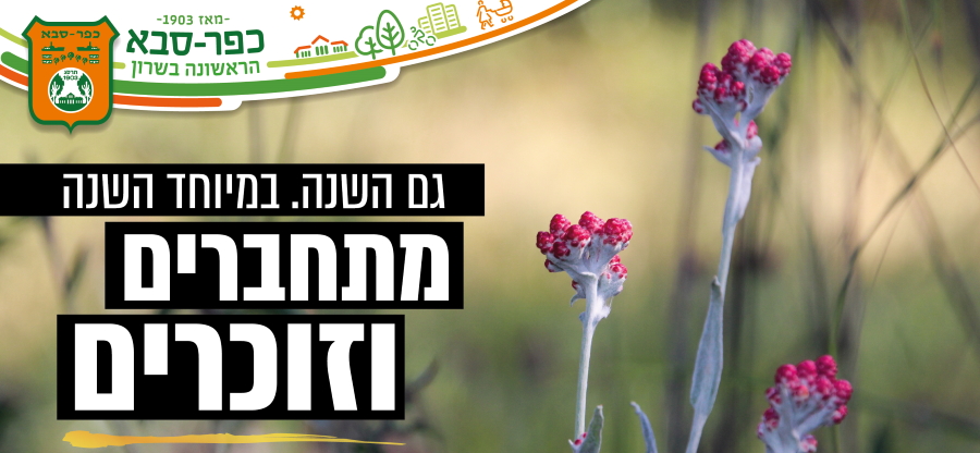 מתחברים וזוכרים